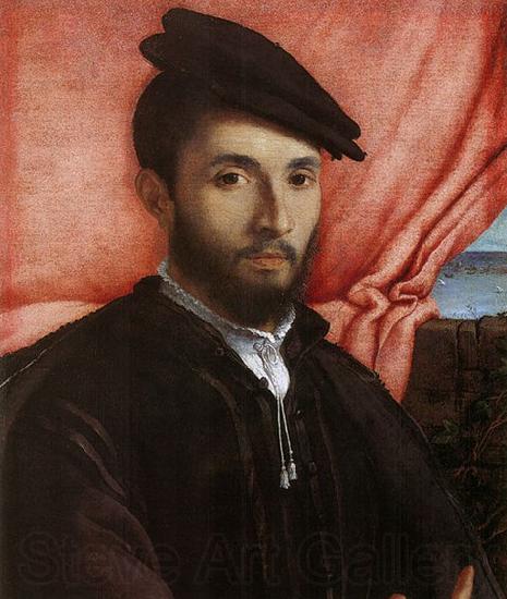 Lorenzo Lotto Portrat eines jungen Mannes France oil painting art